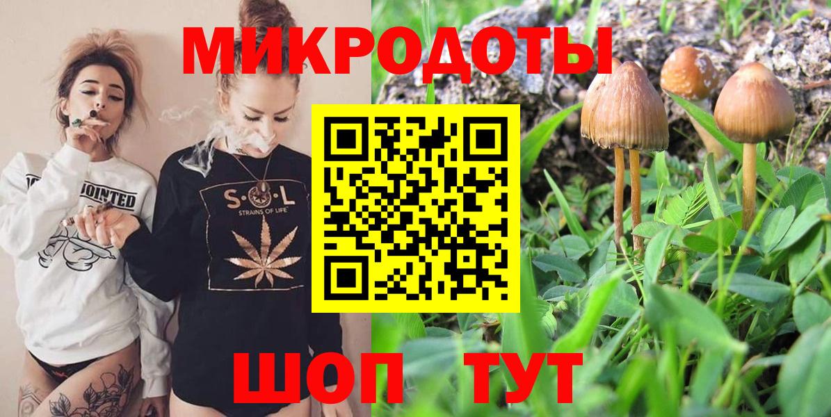 где найти   Галлюциногенные грибы мухоморы  Вход с VPN  Лесной 